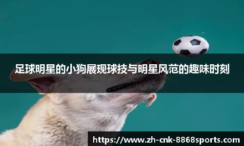 8868体育官方网站